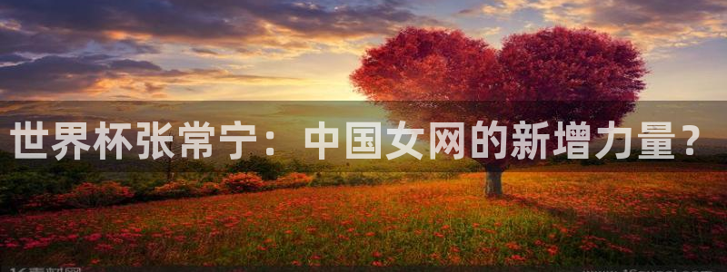 世界杯球队排名：世界杯张常宁：中国女网的新增力量？