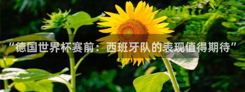 世界杯2026赛制：“德国世界杯赛前：西班牙队的表现值得期待”