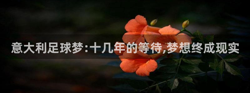 亚洲杯比赛直播：意大利足球梦:十几年的等待,梦想终成现实