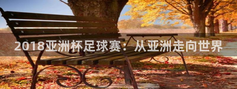 2026世界杯亚洲区预选赛：2018亚洲杯足球赛：从亚洲走向世界