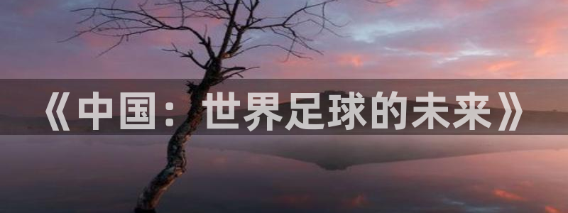 世界杯预选赛赛程时间表：《中国：世界足球的未来》