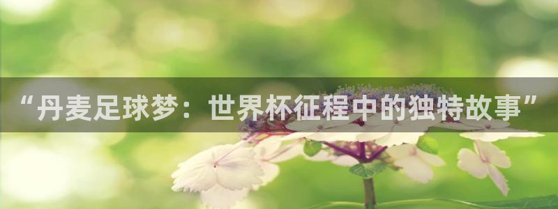 世界杯2026赛程：“丹麦足球梦：世界杯征程中的独特故事”