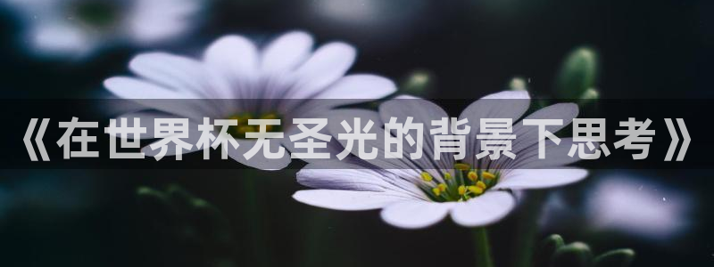 世界杯球队：《在世界杯无圣光的背景下思考》
