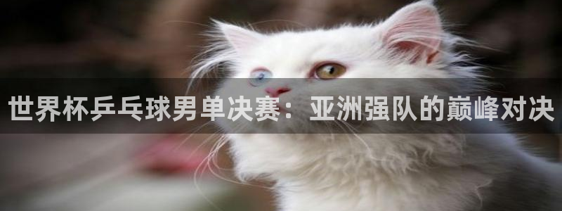 世界杯欧洲区预选赛：世界杯乒乓球男单决赛：亚洲强队的巅峰对决