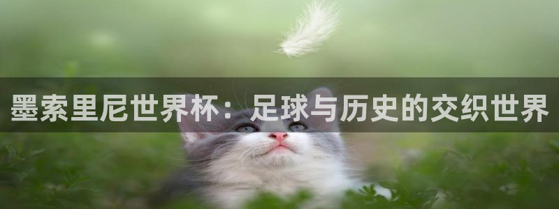 中国 世界杯：墨索里尼世界杯：足球与历史的交织世界