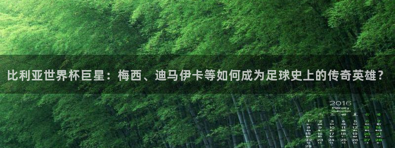 足球杯：比利亚世界杯巨星：梅西、迪马伊卡等如何成为足球史上的传奇英雄？