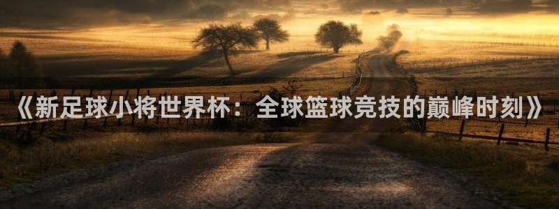 世界杯预选赛赛程表：《新足球小将世界杯：全球篮球竞技的巅峰时刻》
