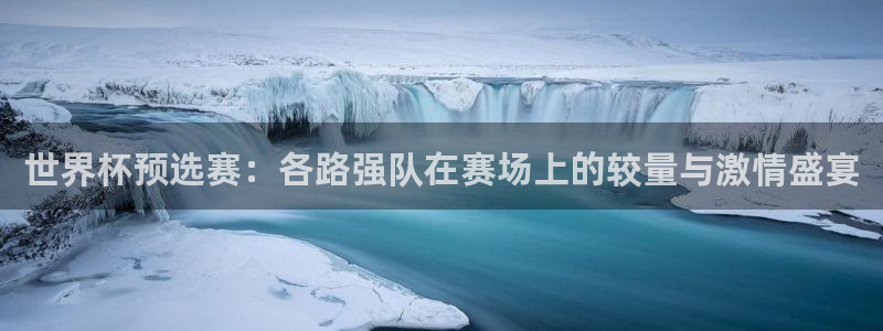 世界杯预选赛亚洲：世界杯预选赛：各路强队在赛场上的较量与激情盛宴