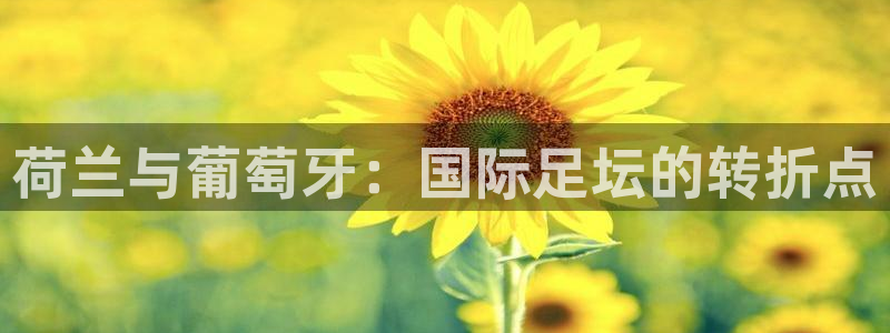 世界杯足球比赛：荷兰与葡萄牙：国际足坛的转折点